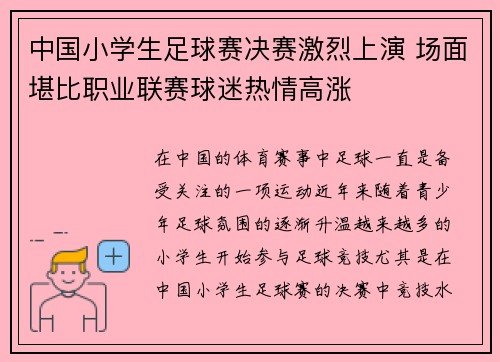 中国小学生足球赛决赛激烈上演 场面堪比职业联赛球迷热情高涨